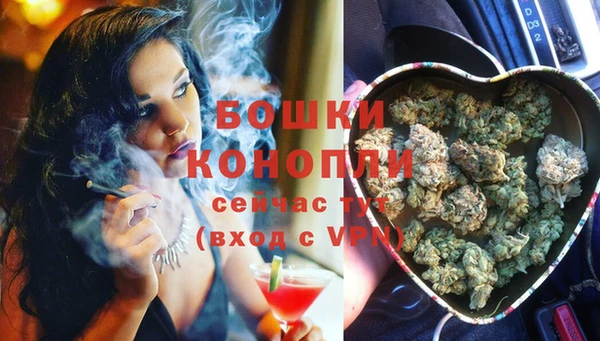 сатива Абдулино