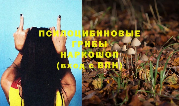 COCAINE Алексеевка