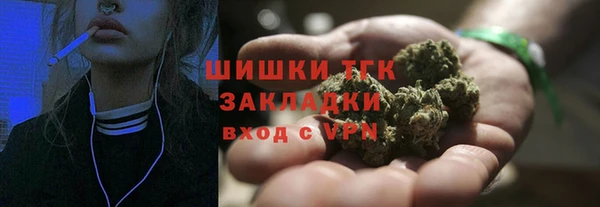 сатива Абдулино