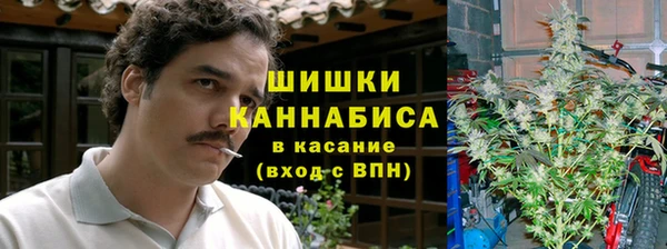 амф Алексин